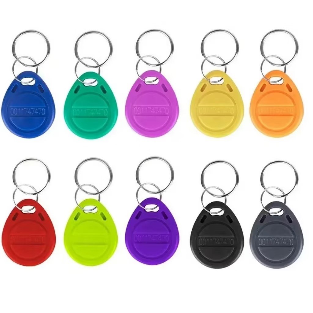 Porte-clés RFID EM4100 125 kHz pour lecteur et système de contrôle d’accès compatible
